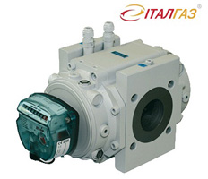 Счетчик газа Delta S1 Flow Счетчик газа роторный Delta S1 Flow (itron)